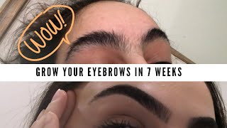 HOW TO GROW OUT YOUR EYEBROWS FAST  NATURAL NICOLE MADI [upl. by Ruff719]