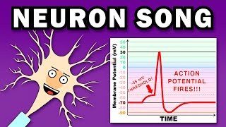 THE NEURON SONG [upl. by Caterina]