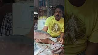 আজকে বড়ো সাইজের ভোলা মাছ নিলাম 350 টাকা কেজি yutubeshorts fish fishmarket viralvideo [upl. by Ahsram]