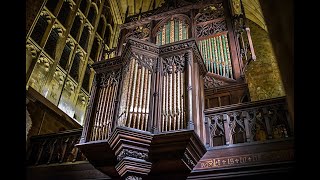 Organ Recital at Sherborne Abbey Dorset January 2023 [upl. by Tarrance]