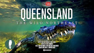 Australia’s Wild Northeast  Wildlife Documentary 4K  Queensland Animals and Landscapes [upl. by Cumings]