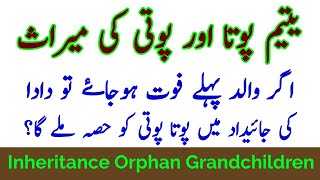 Inheritance Of Orphan Grandchildren  Succession Right of Paternal Grandchildren in Islam [upl. by Drofyar]