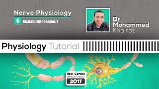 Physiology of nerve 7 Excitability changes part 1 [upl. by Hallett]