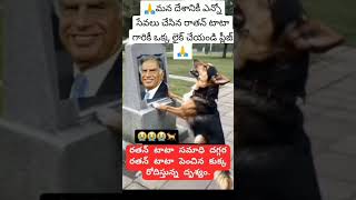 Miss you Ratan Tata sirdog Emotional viral short [upl. by Adaha395]