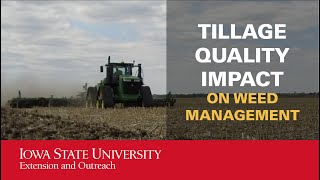 Using a Vertical Tillage Tool for Weed Management [upl. by Hermine]