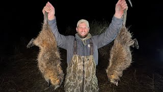 Swamp Rats Come Out at Night  Nutria Catch and Cook [upl. by Baum]