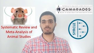 Systematic Review and MetaAnalysis of Animal Studies  Osama Abunar [upl. by Mano]