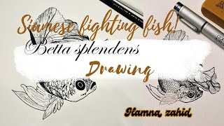 Siamese fighting fish 🐠 drawing Betta splendenshamnazahidfishdrawing trendingvideo trending [upl. by Lever570]