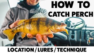 How To Catch Perch LocationLuresTechnique [upl. by Irahs761]