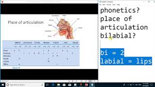 Articulatory phonetics  Consonants by Place of articulation linguistics [upl. by Lauber92]