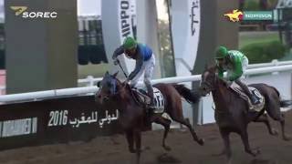 Meeting International du Maroc 2016  Prix de lARMEC [upl. by Baird]