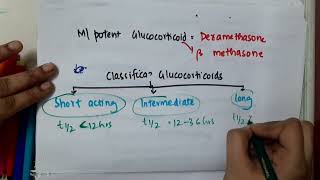 classification of glucocorticoids mp4  Pharmacology [upl. by Roselane]