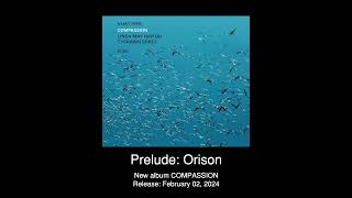 Vijay Iyer Trio  Prelude Orison from the new album Compassion  ECM Records [upl. by Kacy210]