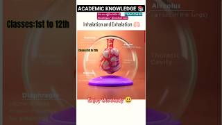 Inhalation and Exhalation 🫁 Mechanism in the Alveoli  Biology ashishsir biology science video [upl. by Searby]