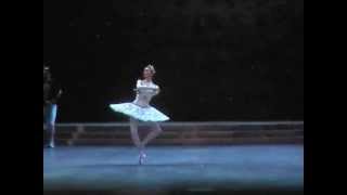 Raymonda  selections 7  Svetlana Zakharova Andrei Uvarov  Tokyo 2004 [upl. by Amsirak]