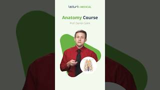 Master Thorax Anatomy with Dr Salmi 🌟 USMLEPrep AnatomyEssentials meded [upl. by Suhpoelc]