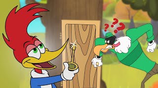 Woody Woodpecker Complete Season 1 Compilation  Cartoons For Kids  WildBrain Max [upl. by Pangaro624]