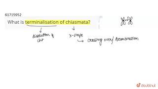 What is terminalisation of chiasmata [upl. by Yendys]