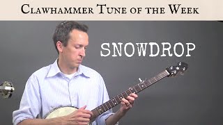 Clawhammer Banjo Tune and Tab of the Week  quotSnowdropquot [upl. by Nyladam644]