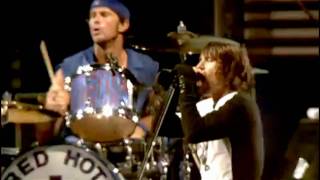 Red Hot Chili Peppers  Parallel Universe  Live at Slane Castle [upl. by Vergne]