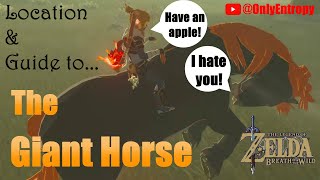 BOTW Giant Horse Location zelda botw [upl. by Lot993]