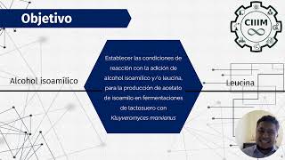 IQCIIIM202445 Evaluación del efecto de dos precursores en la síntesis de Acetato de Isoamilo [upl. by Logan419]