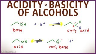 Acidity and Basicity of Alcohols [upl. by Lowson]