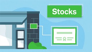 Investing Basics Stocks [upl. by Snashall]