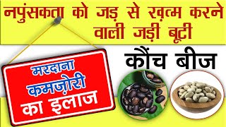 कौंच बीज के फायदे खुराक और इस्तेमाल  Kaunch Beej Ke Fayde Aur Istemal  Kaunch Beej Benefits [upl. by Bendicta625]