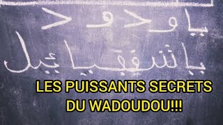 Prof Cissé dévoile les énormes secrets du WADOUDOU [upl. by Edualcnaej]