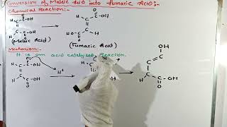 Conversion of maleic acid into fumaric acid  Lab experiment  MSc chemistry [upl. by Eisenhart]