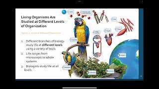 101 1A Reductionism Systems Biology and Emergent Properties [upl. by Nordin]