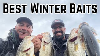 Best Winter Baits with Rob Cloutier [upl. by Niessuh]