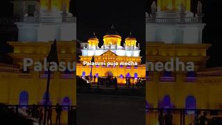 Palasuni Durga Puja pandal [upl. by Arbas]