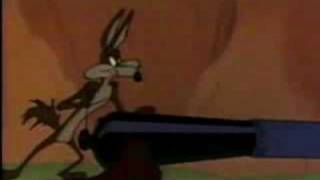 Wile E Coyote Genius Award [upl. by Anayrb]