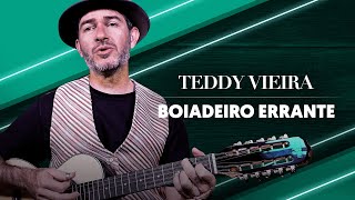 BOIADEIRO ERRANTE  Teddy Vieira  COMO TOCAR VIOLA aula 7 [upl. by Koo]