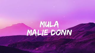 Malie Don  Mula Lyrics [upl. by Atinauq]