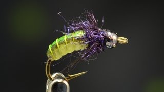 Tying a Caddis Pupa multitoned with Curtis Fry [upl. by Wojcik19]