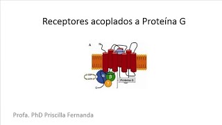 Receptores acoplados a Proteína G [upl. by Eireva]