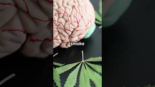 The SideEffects of Smoking Weed [upl. by Inattirb]