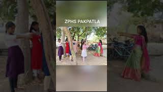 ZPHS PAKPATLASchool Activities [upl. by Flavius]