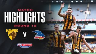 Hawthorn v Adelaide Highlights  Round 12 2024  AFL [upl. by Noiraa]