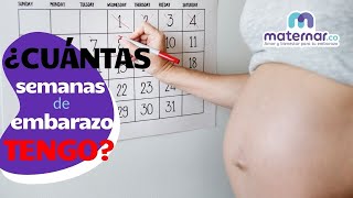 ¿Cómo calcular cuántas semanas de embarazo tengo  Maternarco [upl. by Sherwin18]