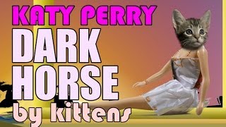 Katy Perry  Dark Horse Cute Kitten Parody [upl. by Ahsietal668]