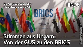 Stimmen aus Ungarn Von der GUS zu den BRICS  Gábor Stier  NDSPodcast [upl. by Botsford]