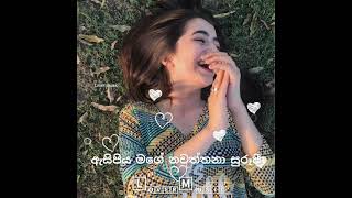 dilisi dilisi hada se sina siiදිලිදිසි දිලිසි හද සේ සිනා සීwhatsapp status video [upl. by Rory]