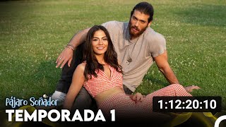 Pájaro Soñador Temporada 1 Todos Los Capítulos Doblado En Español [upl. by Vaasta673]