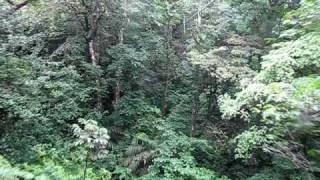 Zipline during canyoning at San Lorenzo in Costa Rica [upl. by Merriman]