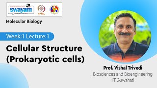 Lec 1 Cellular Structure Prokaryotic cells [upl. by Aninad724]