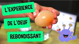 Transformez votre œuf 🥚 en œuf rebondissant mou et transparent [upl. by Odranreb714]